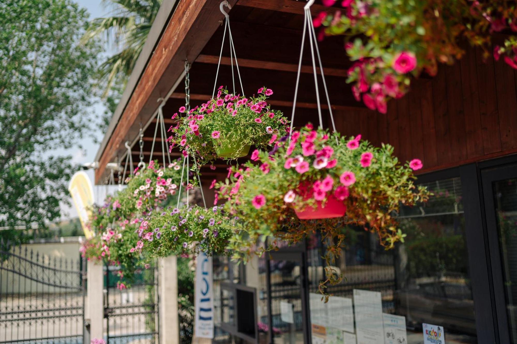 Village Lake Placid Silvi Marina Exterior foto